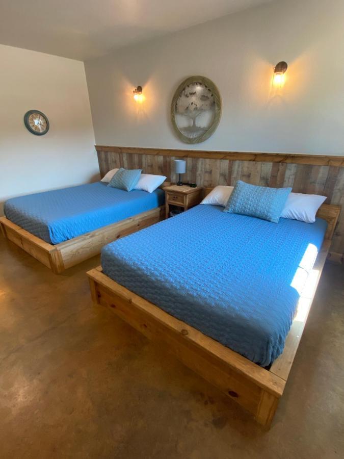 The Woods Lodging Kingston Номер фото